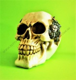 Skull with Biomechanics. Акрилові черепи. 130х120х100 мм.</p>